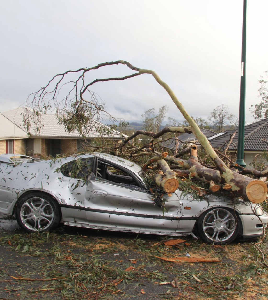 DESTROYED: This car was off to the scrap metal merchants after a tree destroyed it during the Fernvale storm. DESTROYED: This car was off to the scrap metal merchants after a tree destroyed it during the Fernvale storm.